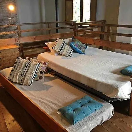 Tamarillos サンタクルスデテネリフェ