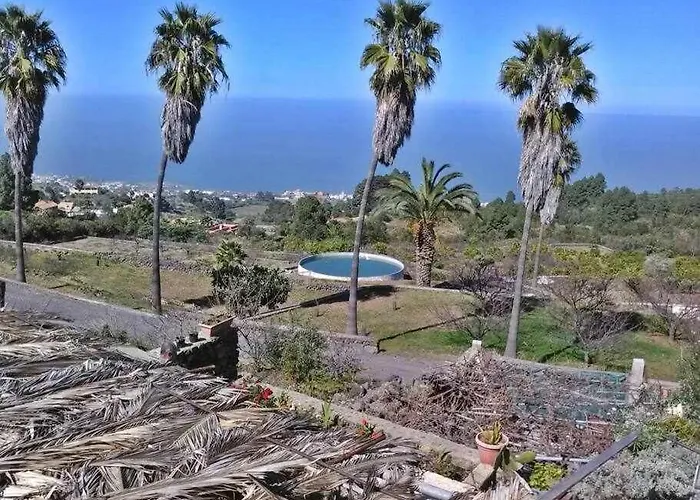 Tamarillos * Santa Cruz de Tenerife