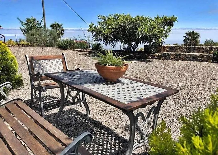 Tamarillos * Santa Cruz de Tenerife