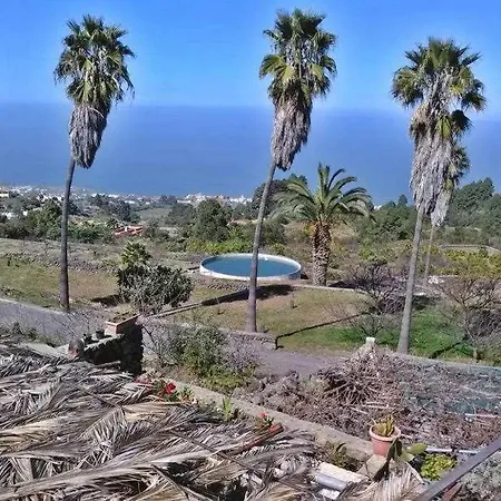 Tamarillos * Santa Cruz de Tenerife