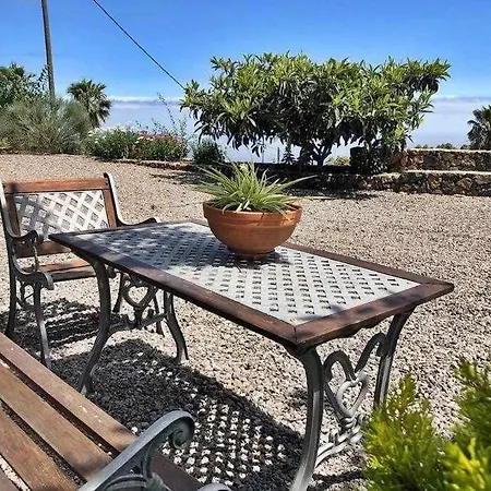 Tamarillos * Santa Cruz de Tenerife