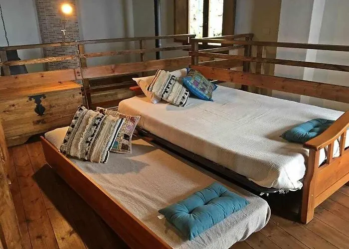 Tamarillos Santa Cruz de Tenerife